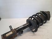 Front shock absorber with coil spring