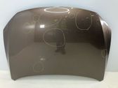 Motorhaube