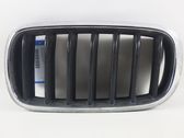 Front bumper upper radiator grill