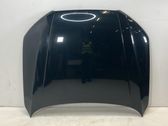 Motorhaube