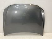 Engine bonnet/hood