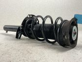 Amortiguador delantero con muelle espiral