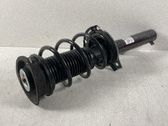 Amortiguador delantero con muelle espiral