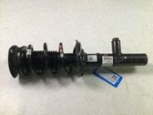 Front shock absorber with coil spring