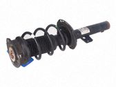 Front shock absorber with coil spring