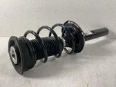 Front shock absorber with coil spring