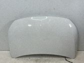 Motorhaube