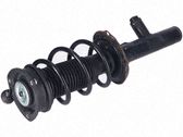 Amortiguador delantero con muelle espiral