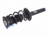 Front shock absorber with coil spring
