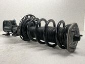 Front shock absorber with coil spring