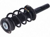 Front shock absorber with coil spring