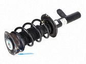 Amortiguador delantero con muelle espiral