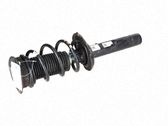 Amortiguador delantero con muelle espiral