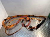 Other wiring loom