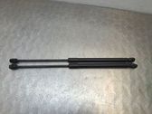 Front bonnet/hood damper/strut