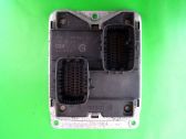 Engine control unit/module ECU