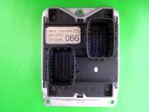 Engine control unit/module ECU