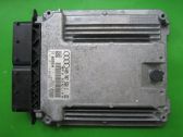 Engine control unit/module ECU