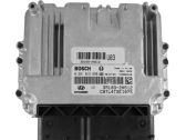 Engine control unit/module ECU