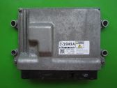 Engine control unit/module ECU