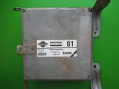 Engine control unit/module ECU