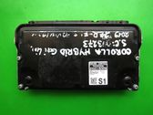 Engine control unit/module ECU