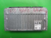 Engine control unit/module ECU