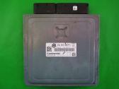 Engine control unit/module ECU