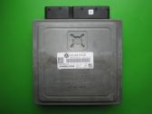 Engine control unit/module ECU