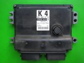 Engine control unit/module ECU