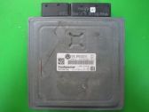 Engine control unit/module ECU