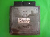 Engine control unit/module ECU