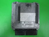 Engine control unit/module ECU