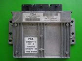 Engine control unit/module ECU