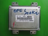 Engine control unit/module ECU