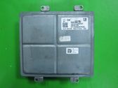 Engine control unit/module ECU