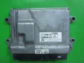 Engine control unit/module ECU