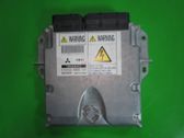 Engine control unit/module ECU