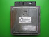 Engine control unit/module ECU
