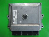 Engine control unit/module ECU