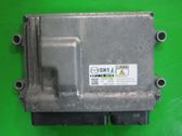 Engine control unit/module ECU