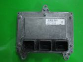 Engine control unit/module ECU