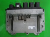 Engine control unit/module ECU