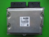 Engine control unit/module ECU