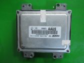 Engine control unit/module ECU
