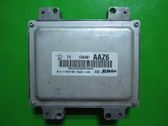 Engine control unit/module ECU