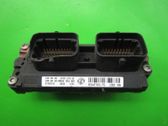 Engine control unit/module ECU
