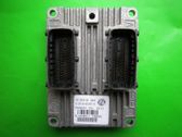Engine control unit/module ECU