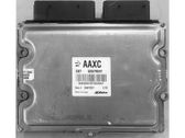 Engine control unit/module ECU