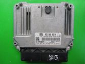 Engine control unit/module ECU